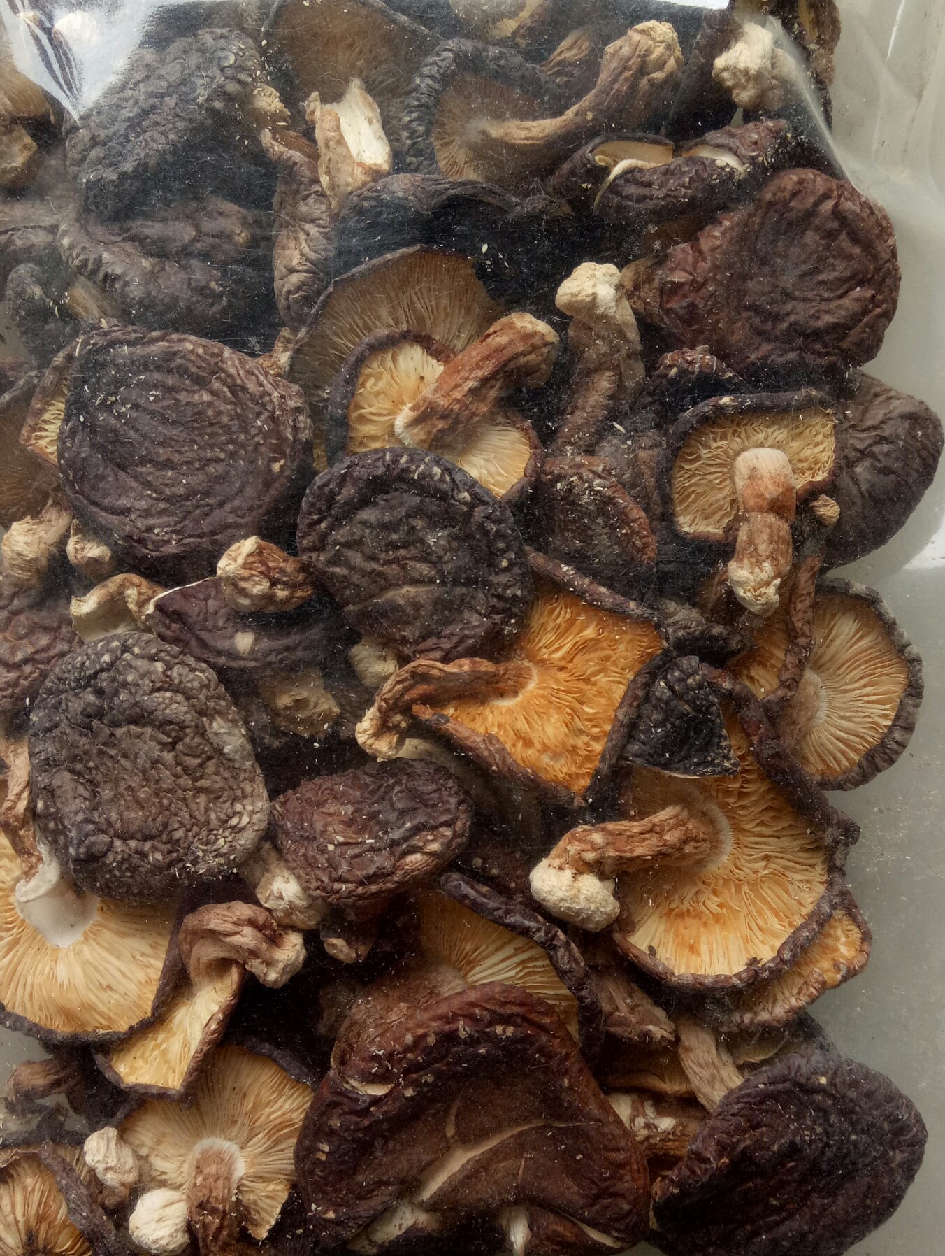 香菇的功效与作用 常吃香菇能够延缓衰老